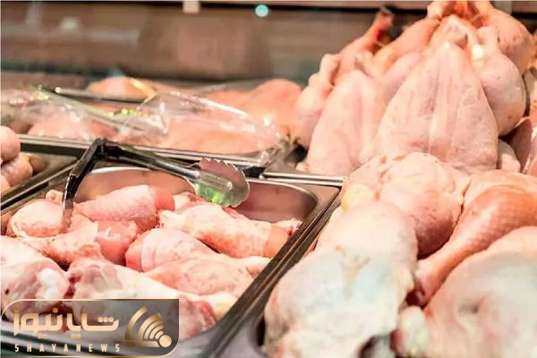 قیمت مرغ امروز پنجشنبه ۱۷ اردیبهشت ۱۴۰۵