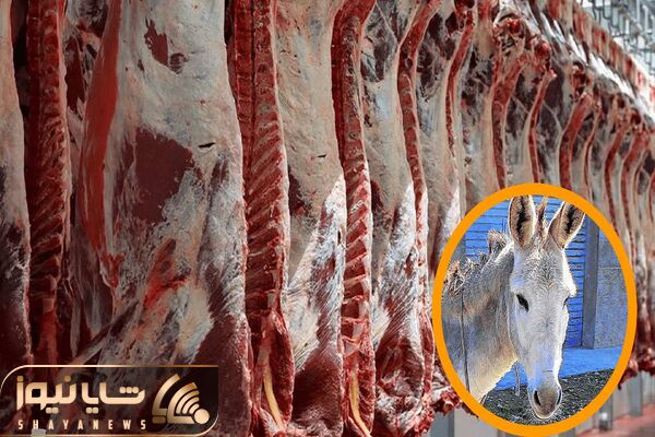 ژفرآوری الاغ / دستگاه مدرن کشتار خر با تکنولوژی نوین که سوددهی را ...